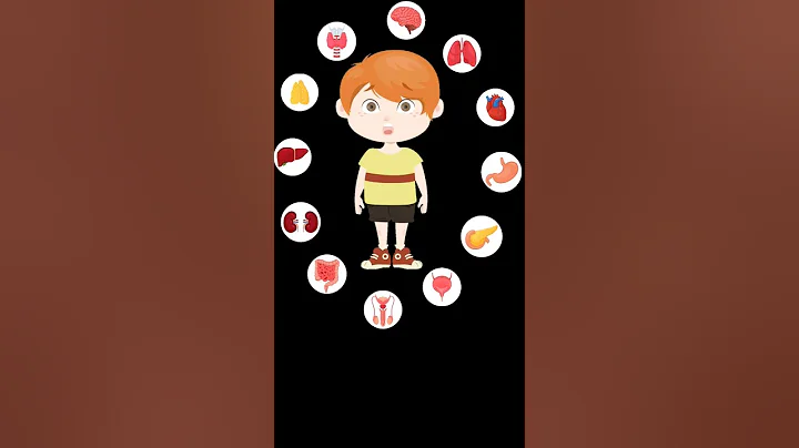 Internal Organs of the Human Body| Brain|Heart|Lungs|Kidneys|Liver #humanbody #brain #heart #english