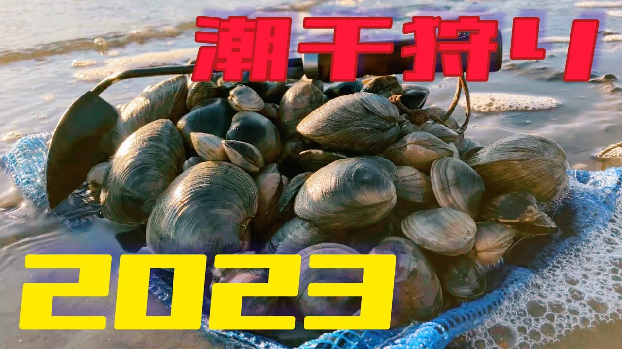 【2023年】2月の江戸川放水路で潮干狩り! 2時間勝負！