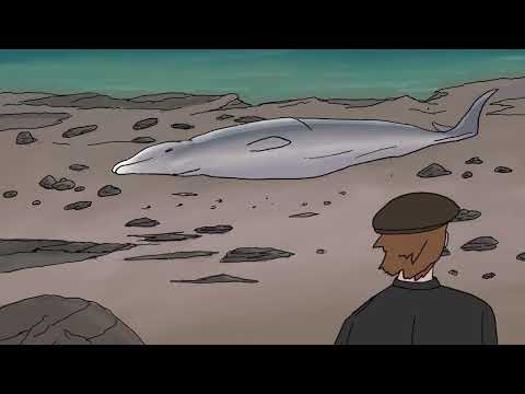 'Maude Delap.' | Short Animated Film..