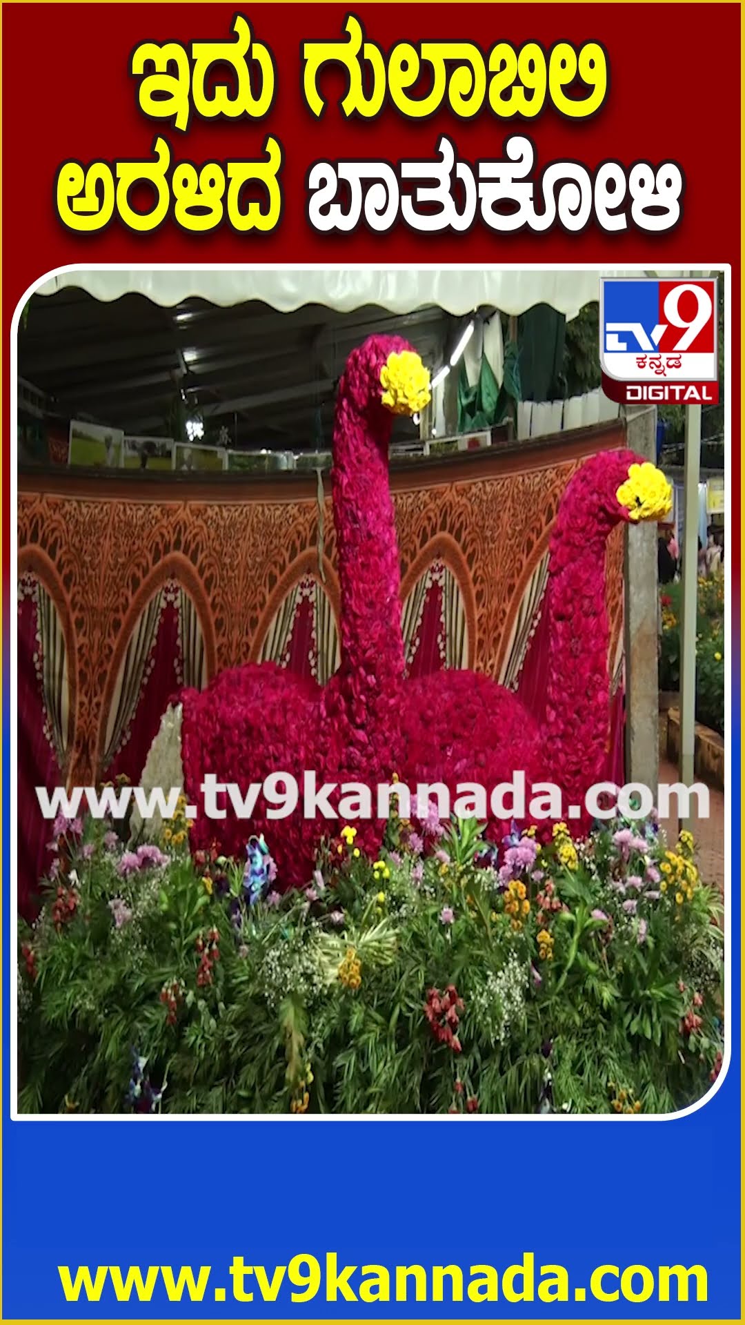 ಇದು ಗುಲಾಬಿಲಿ ಅರಳಿದ ಬಾತುಕೋಳಿ #Flowershow #Tv9D