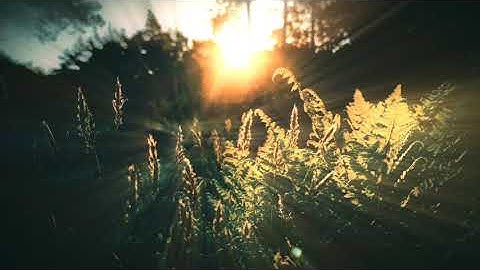 Drones Of Morning (ambient, chillout, dronemusic,relaxing)