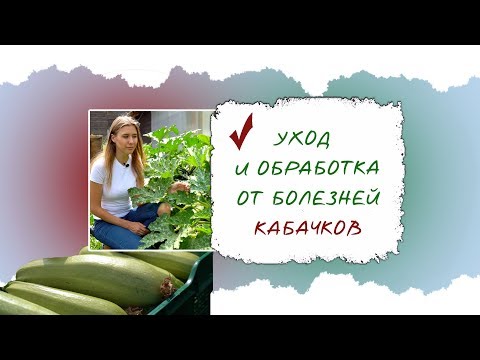 Видео: Болезни растений кабачков - лечение распространенных болезней кабачков в саду