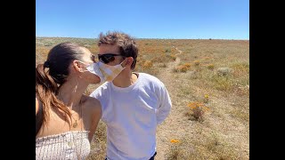 Famous Torrey DeVitto Kisses Mystery Man 1 Year After Jesse Lee Soffer Split Profile