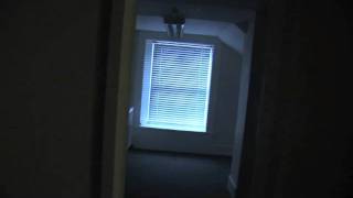 Asylum 2011  Trailer