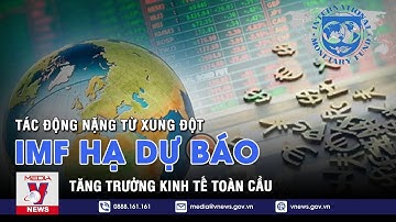 IMF hạ dự báo tăng trưởng toàn cầu do tác động nặng nề từ xung đột Ukraine - VNEWS