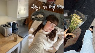 starting my sibo healing journey and black friday pick ups (vlog)