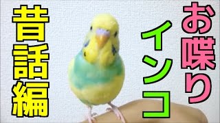 おつぽんと喋るインコ「ピーちゃん」昔話編( ^ ^ )/