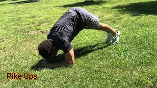 Instructional Video on how to perform Elbow Plank Pike Ups