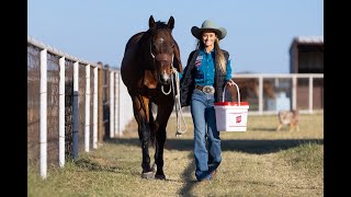 SevenTime NFR Barrel Racer Stevi Hillman & Truck