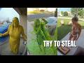 2026 Porch Pirate Instant Karma Compilation Thief Chose The Wrong House 