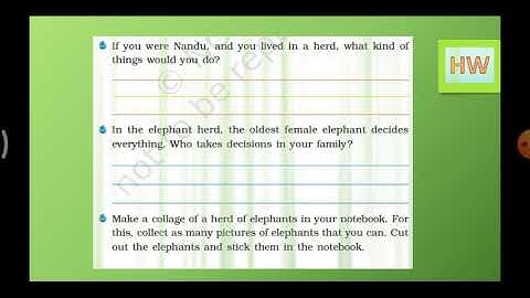 CBSE - 4th std EVS  Lesson - 3 A Day with Nandhu (part  -2).