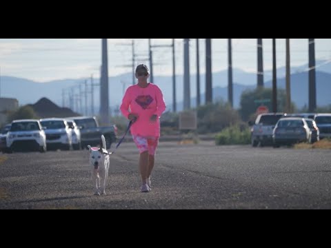 Video: 15 producten voor borstkankerbewustzijn voor honden- en hondenliefhebbers