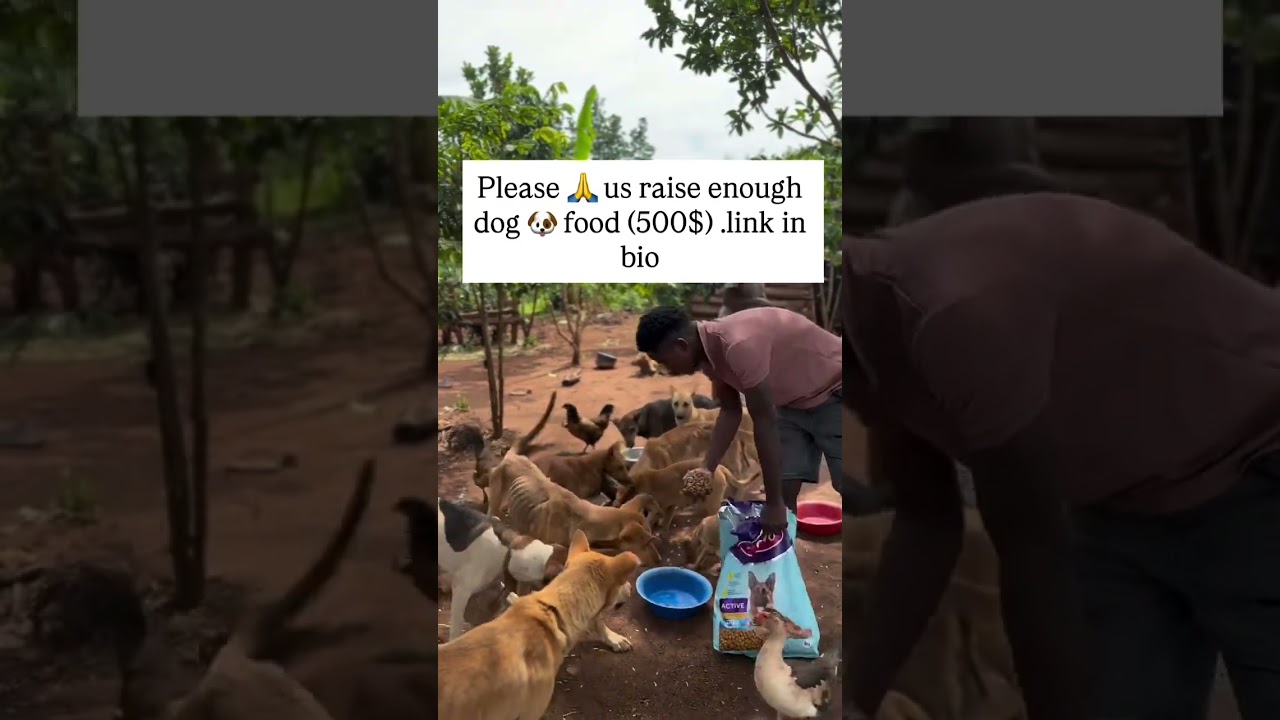 can you stay and leave a donation to our PayPal link in bio to help us please