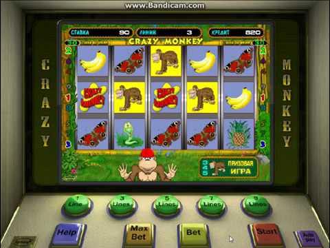 Как выиграть в крейзи. Crazy monkey призовая игра. Crazy monkey схемы. Как выиграть вулкан старс с 100 рублей на андроид crazy monkey. Crazy monkey комбинации выигрыша.