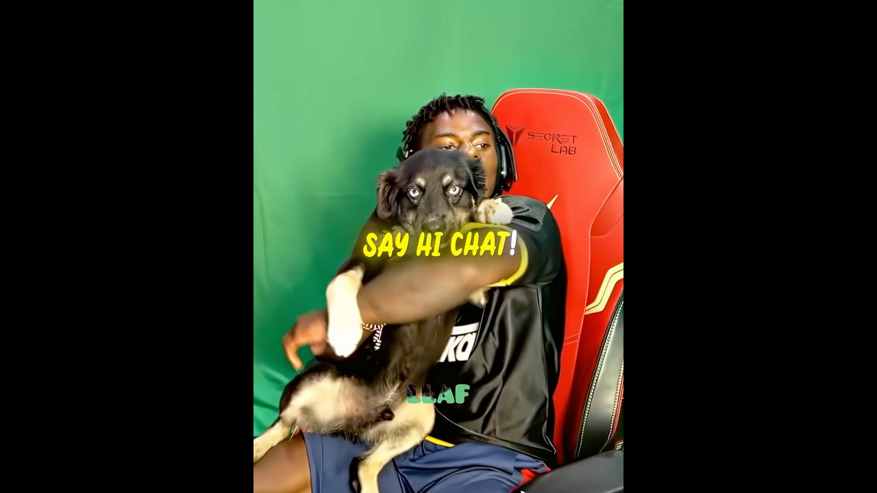 Speed shows his Dog 🐶❤️‍🩹