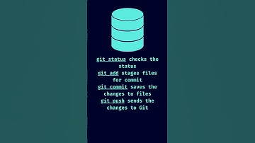 Database Version Control Explained #shorts #database