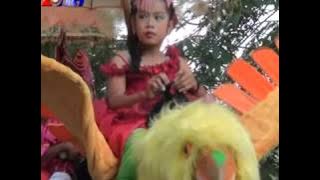 KEMBANG TURI - ANDI PUTRA