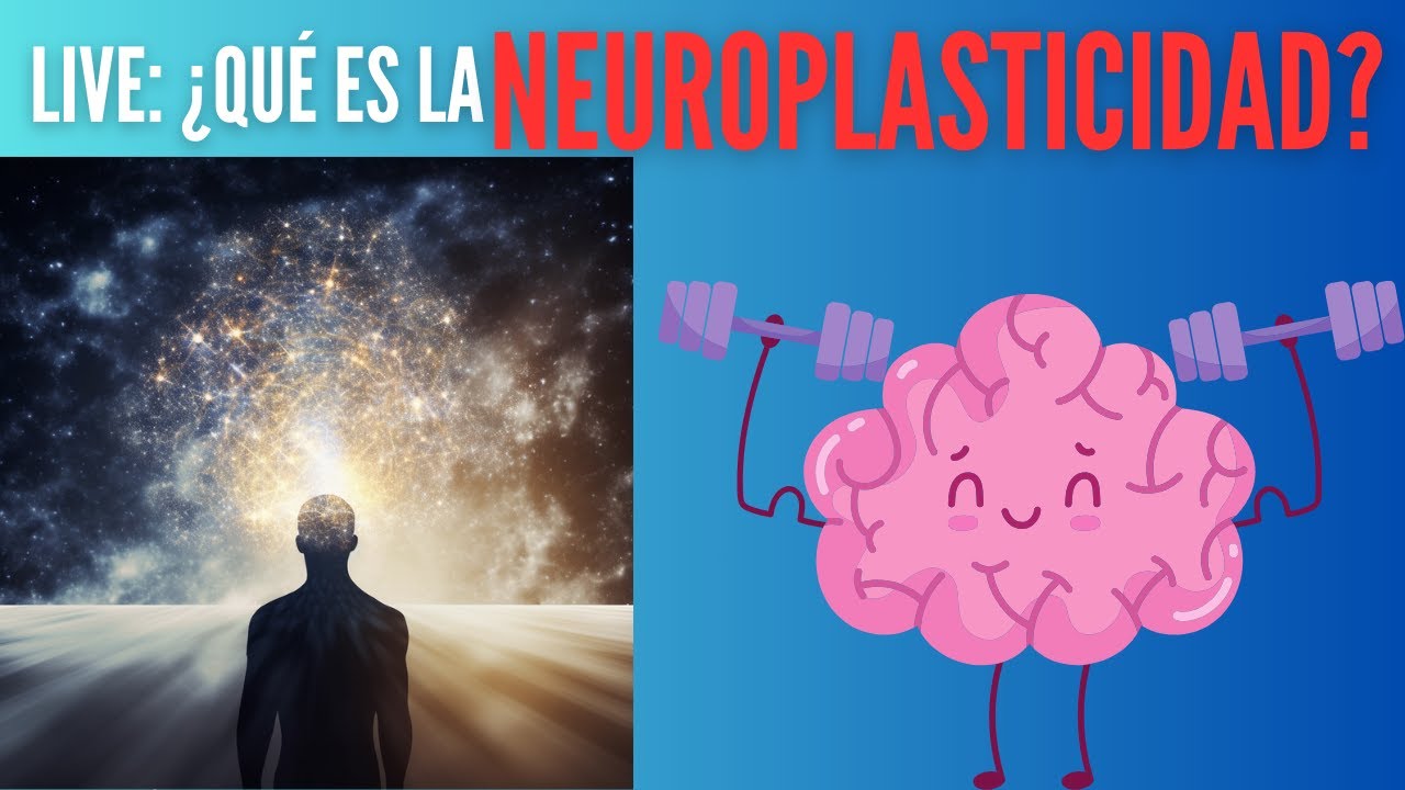 ¿Qué es la neuroplasticidad?