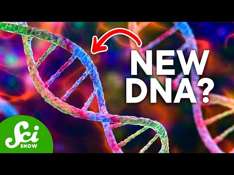 The Genetic Code Sucks. Let’s Do Better