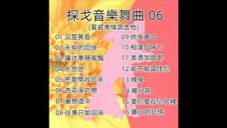 探戈音樂舞曲 - 06 ( 夏威夷情調吉他 )