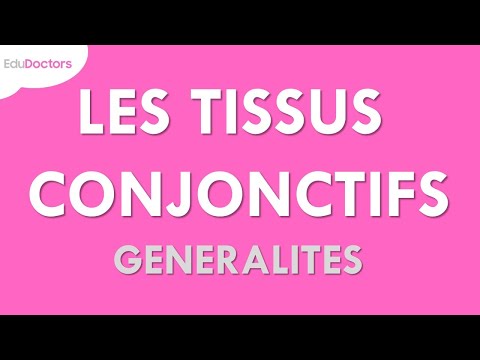 Vidéo: Le tissu conjonctif est-il fluide ?