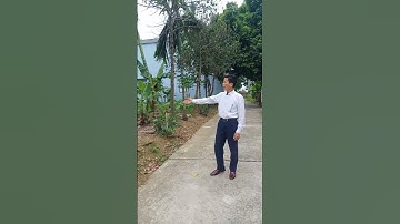 Quá sốc khi tìm thấy một lô đất ven đô cơ hội x2 gần nhà máy in tiền quốc gia.