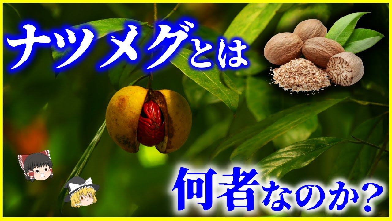ナツメグ 危険