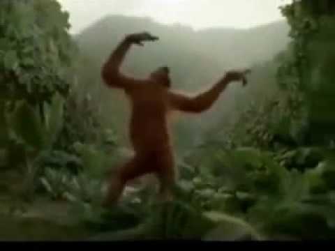 Видео: Кто в видео танцевальной обезьяны?