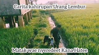 Kampung ini Menghasilkan banyak Produksi Makanan