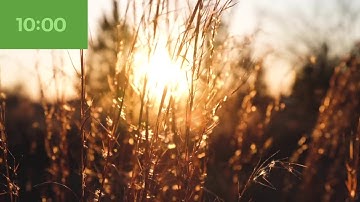 Classical Music Timer 10 Minutes | 10 Minute Timer With Classical Music For Classroom