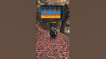 Ultrasonic Sound Is MIND BLOWING 🤯