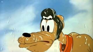Pluto Pluto s Playmate