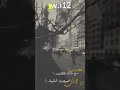 العجايب سبع وانته يالطيف من جمالك اصبحت ثمانيه