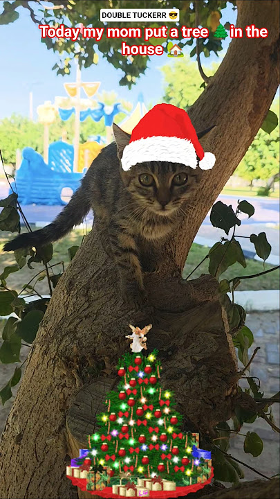 Download lagu #trend