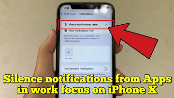 How to silence notifications from apps in work focus on iPhone X
