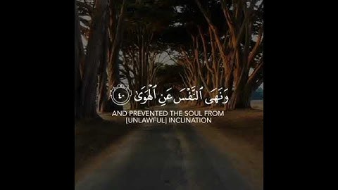 أرح سمعك 🥀لقارئ: رعد الكردي 🍃حالات واتس آب