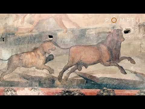 Torna al suo splendore il grande affresco del giardino della Casa dei Ceii