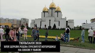 Тюльпани 2024 біля Церкви Різдва Пресвятої Богородиці на Сихові у Львові