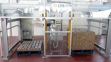 LITA Palletising Systems - High Speed Gantry type Robot Palletizer for Yogurt