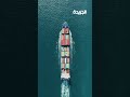 اخر تعديل مشروبات الطاقة