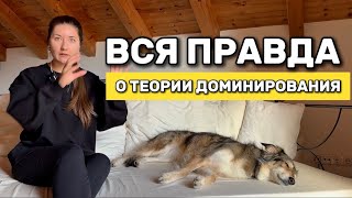 видео: Существует ли теория доминирования? Надо ли следовать ее правилам и что будет, если этого не делать? картинка: Существует ли теория доминирования? Надо ли следовать ее правилам и что будет, если этого не делать?