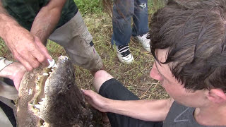 Gatorfest 2009 Alligator Wrestling Competition (Full Video) Part 11/13