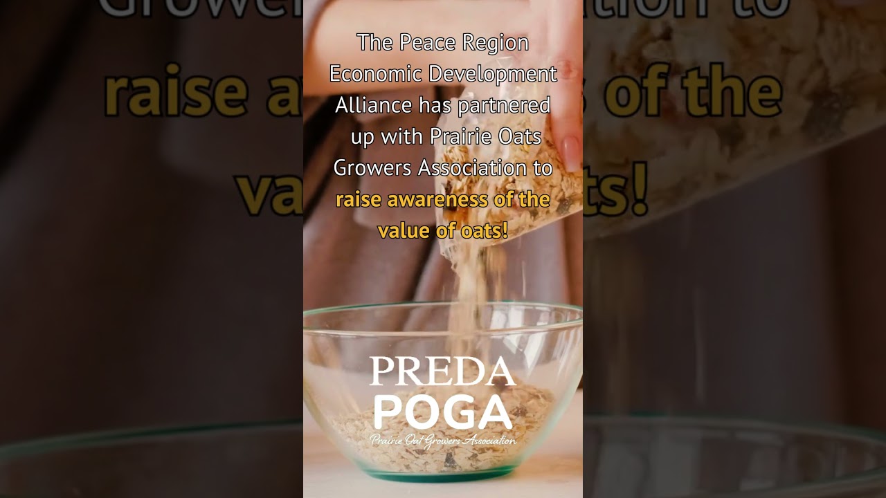 Free Oats! (September 2023)