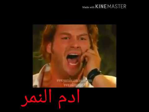 محمد فؤاد مش حبيبت حد فينا