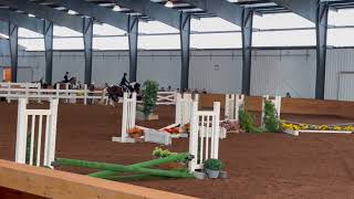 Otto at Albion College LEHS show 8/18/23. day 1 class 1.