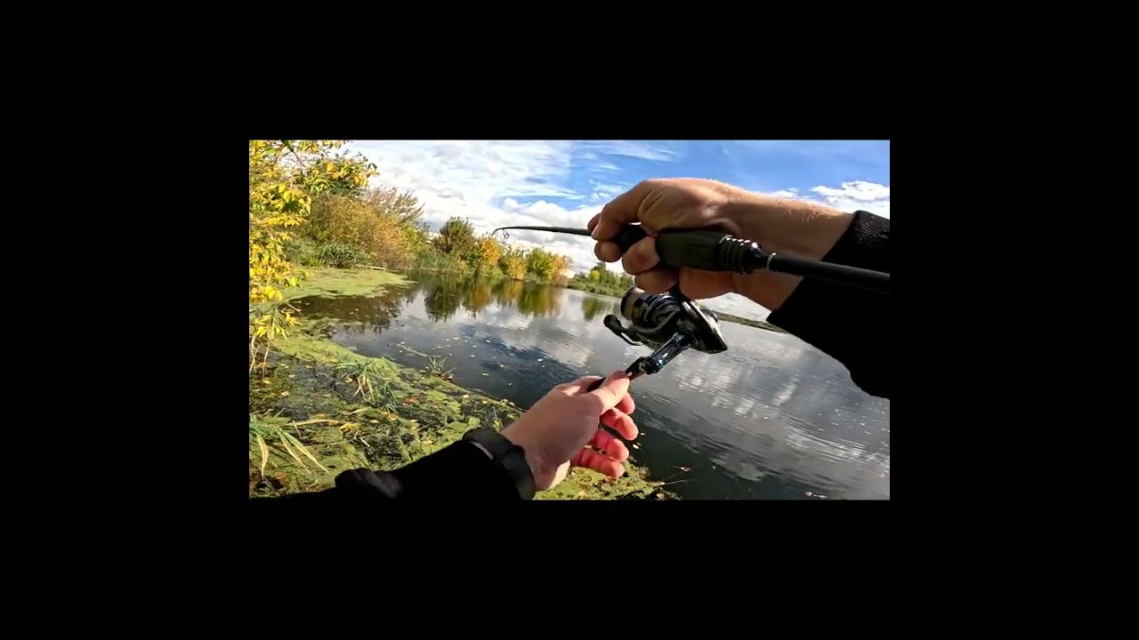 ОТВОДНОЙ НА УЛЬТРАЛАЙТЕ. Читай описание. Рыбалка на озере на спиннинг. Ловля окуня