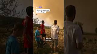 Thumbnail for De grootste bosbrand ooit in de Belgische geschiedenis