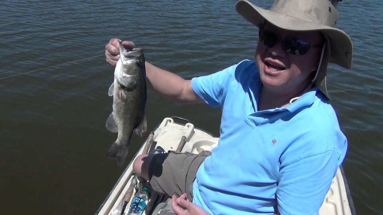 Bass Fishing in Arizona's Gila River YouTube
