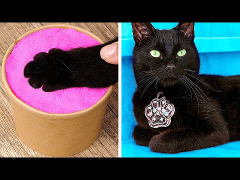 Makeover of Homeless Kitten😱 *Gadgets and Hacks for Pets*