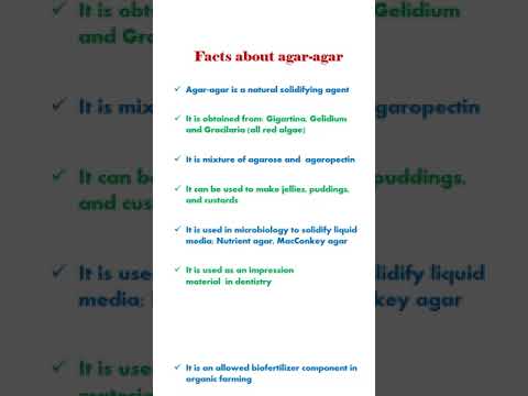 Agar Agar Meaning In Telugu Wikipedia